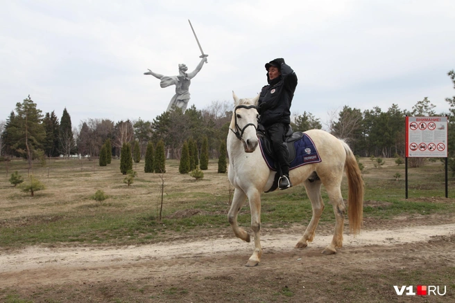 Редкие прохожие не просят сфотографироваться с лошадью | Источник: Мария Часовитина