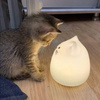 userpic__titovaulya111