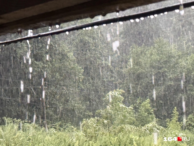 В Саратовской области в выходные начнутся дожди | Источник: Сергей Петунин / 164.RU