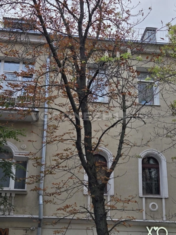 Источник: читательница Voronezh1.ru