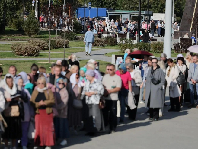 А затем уходит дальше по тротуару | Источник: Наталья Лапцевич