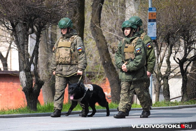 Источник: Елена Буйвол / VLADIVOSTOK1.RU