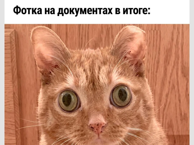 В паспорт лучше лишний раз не смотреть | Источник: Городские медиа