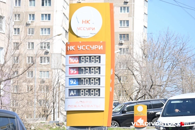 Источник: Елена Буйвол / VLADIVOSTOK1.RU
