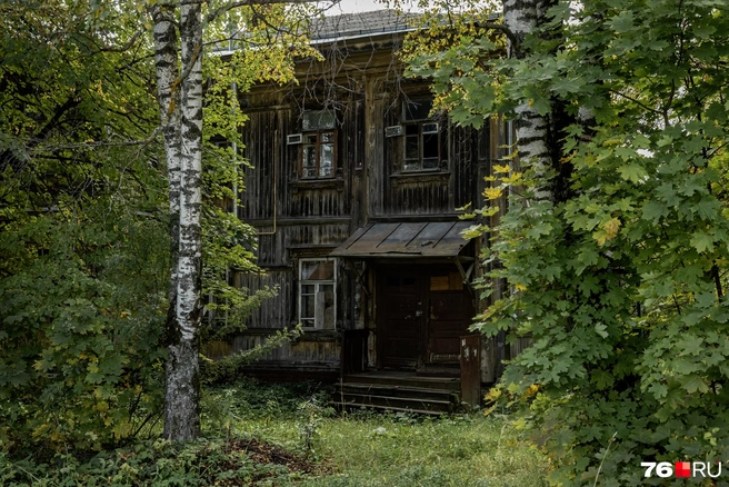 Старые дома скрываются за густыми деревьями | Источник: Александр Куренной / 76.RU