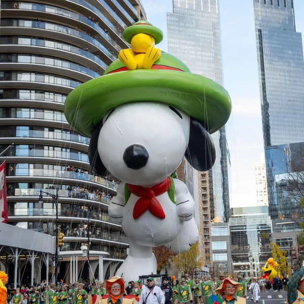 Источник: Ron Adar / SOPA Images via Legion Media