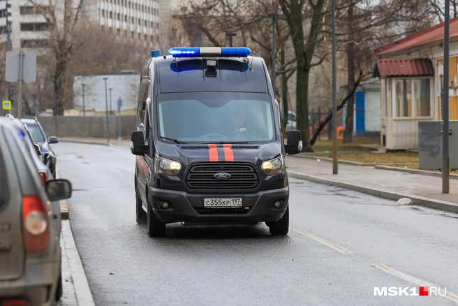 Причины гибели устанавливаются | Источник: Артем Устюжанин / MSK1.RU