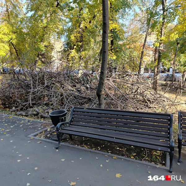 Источник: Сергей Гендин / 164.RU