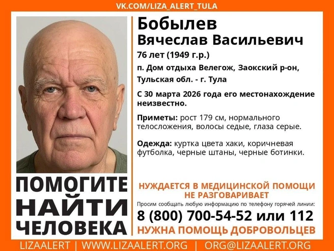 Ориентировка на пропавшего | Источник: Поисковый отряд «ЛизаАлерт» Тульской области / ВКонтакте