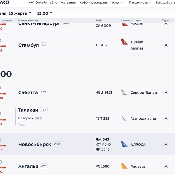 Аэропорт Внуково | Источник: Vnukovo.ru