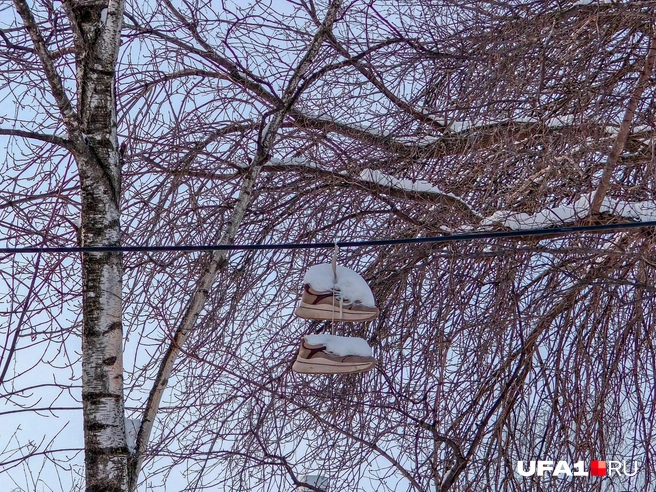 Кроссовки покрылись снегом | Источник: Булат Салихов / UFA1.RU