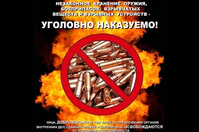 Житель Павловского района получил ограничение свободы за патроны