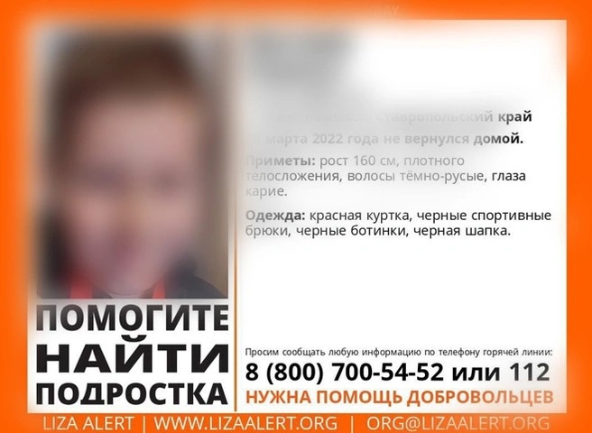 Пропавший в Ставропольском крае 12-летний школьник найден мертвым | ya62.ru