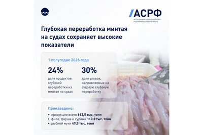 Глубокая переработка минтая на судах сохраняет высокие показатели