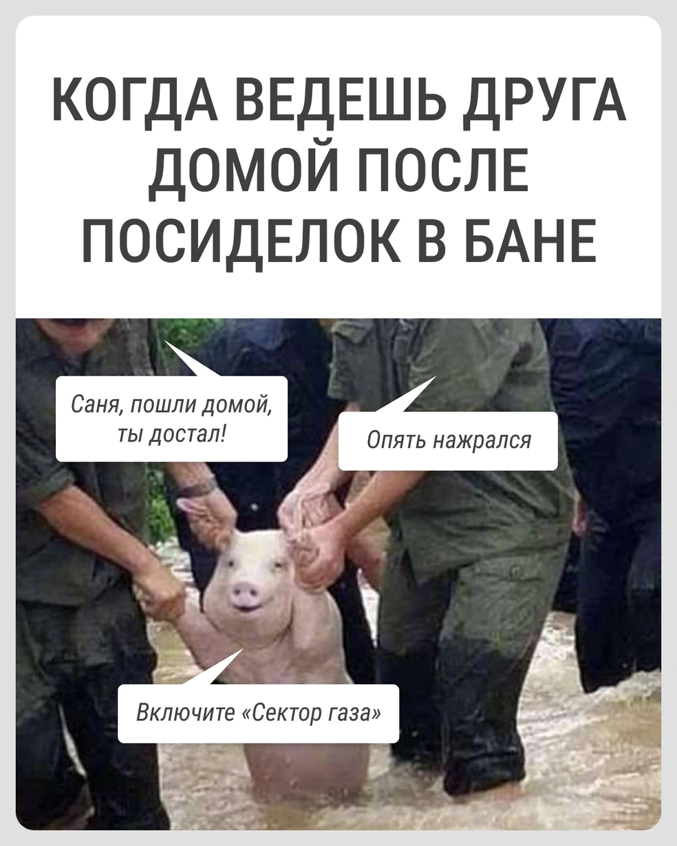 Надо его еще как-то жене показать | Источник: Городские медиа