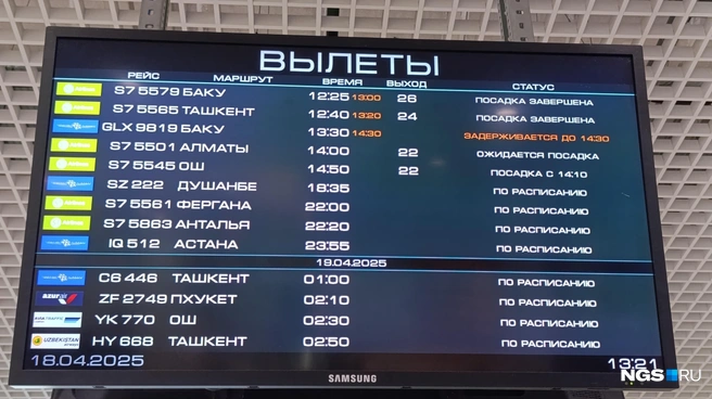 Международный терминал предлагает широкий выбор маршрутов — с заведениями уже похуже | Источник: Стас Соколов / NGS.RU