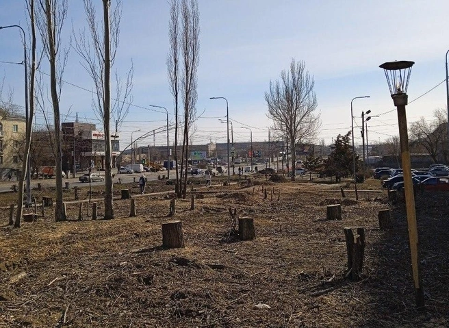 Еще недавно в парке вдоль проспекта Университетского было множество деревьев | Источник: читатели V1.RU