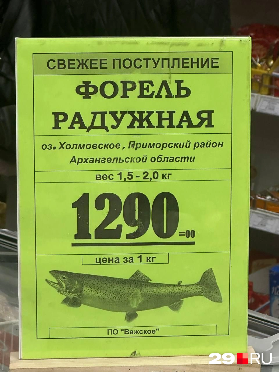 Источник: Анастасия Гусева / 29.RU