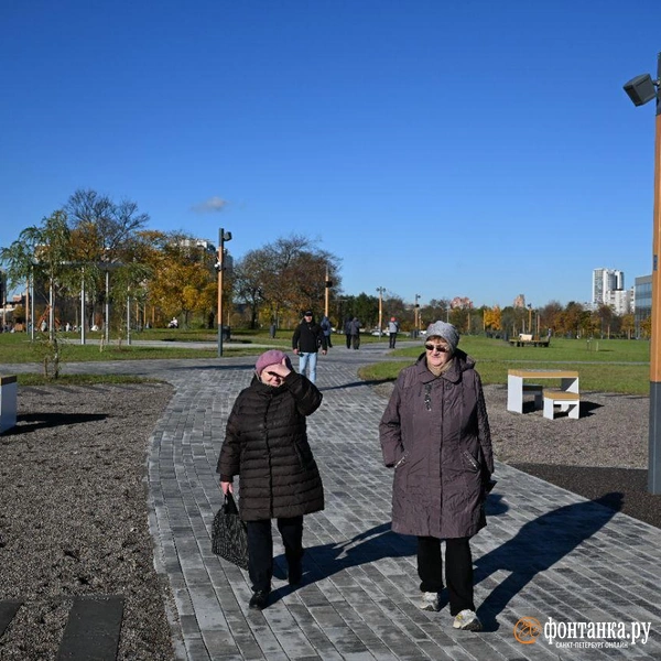 Источник: Андрей Бок / «Фонтанка.ру»