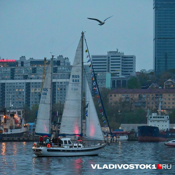 Источник: Елена Буйвол / VLADIVOSTOK1.RU
