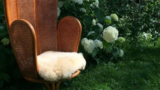 Instagram: (запрещенная в России экстремистская организация) винтажная мебель и аксессуары