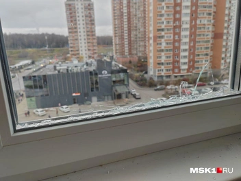 Источник: Михаил Мечев / MSK1.RU