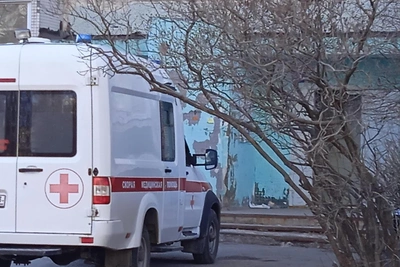 55-year-old dies from mouse fever in Dimitrovgrad, Ulyanovsk region