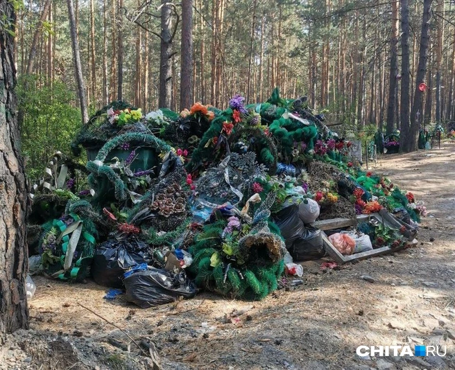 Горожане жалуются, что на кладбищах грязно, а найти захоронения очень сложно | Источник: очевидец