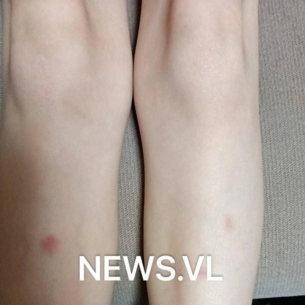 Источник: NEWS.VL | Владивосток и Приморье / T.me