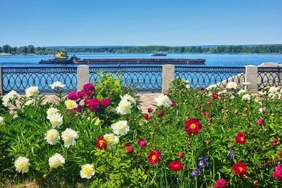 21 июля в ХМАО: избиение, медведи, арбузы