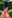 Фото №30 - Короли и шуты: гости Royal Ascot 2017, день 2