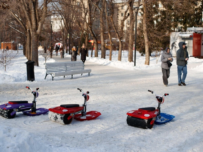 Первомайский сквер остаётся популярным местом для прогулок у горожан | Источник: Андрей Бортко/NGS.RU