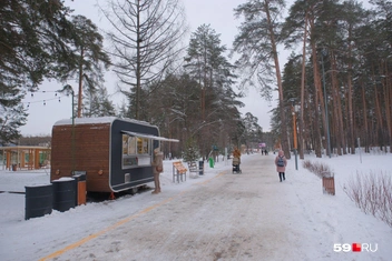 Одинокий фудтрак стоит вдоль дороги | Источник: Тимофей Калмаков / 59.RU