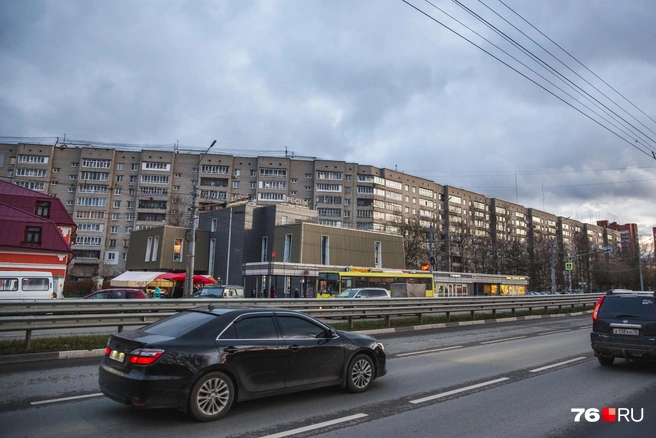 Не зря в народе его прозвали «китайской стеной» | Источник: Кирилл Поверинов