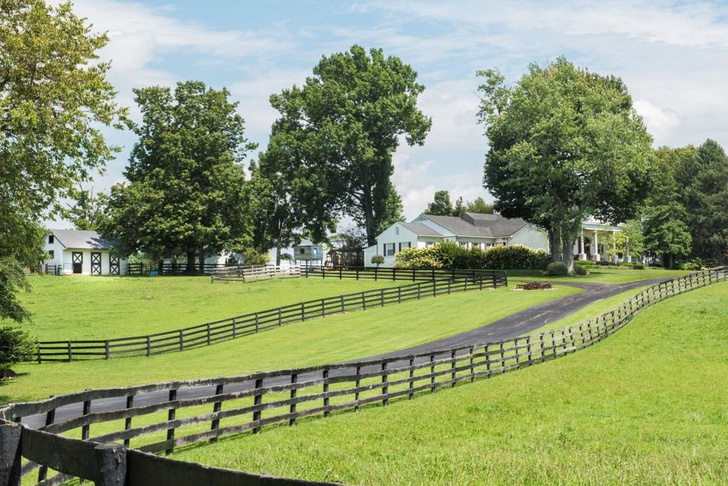Лошадиная ферма Джонни Деппа в Кентукки будет продана с аукциона фото [2]