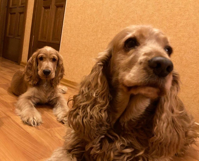 Источник: «Фонтанка.ру»