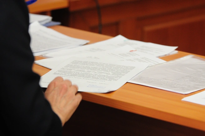 Мать не выплатила 1,6 млн рублей по алиментам | Источник: Артём Устюжанин / E1.RU