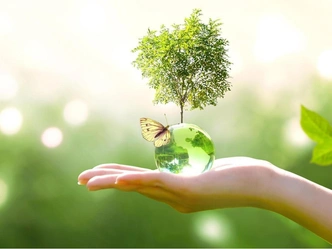 Источник: Shutterstock/Fotodom.ru