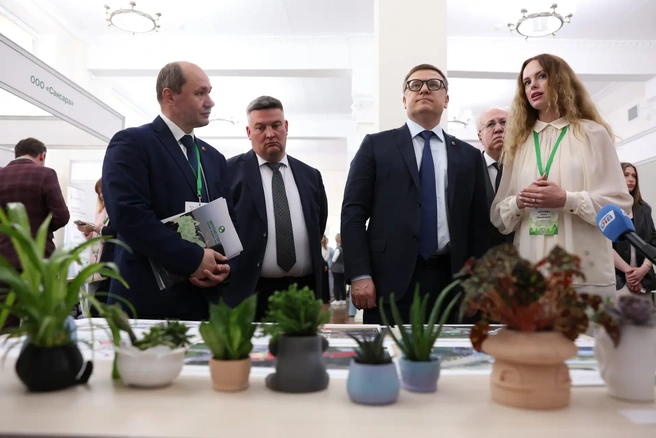 Источник: пресс-служба правительства Челябинской области 