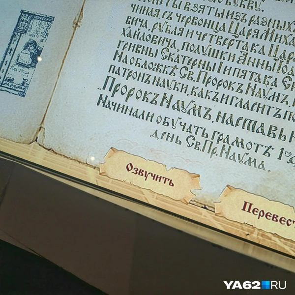 Источник: Кристина Мельникова / YA62.RU