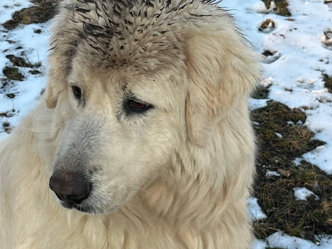 Источник: читательница E1.RU Наталья