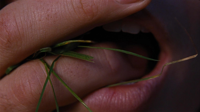 Источник: кадр из фильма «Грозовой перевал» (18+), реж. Эмиральд Феннел, 2026 год