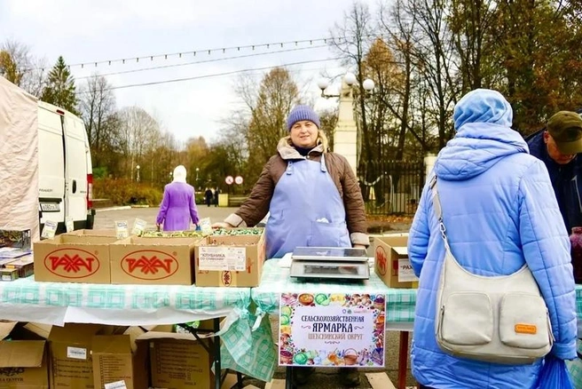 Источник: st.cherinfo.ru