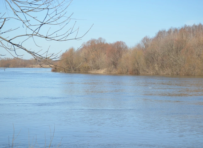 Вода в Оке поднялась еще на 13 см | ya62.ru