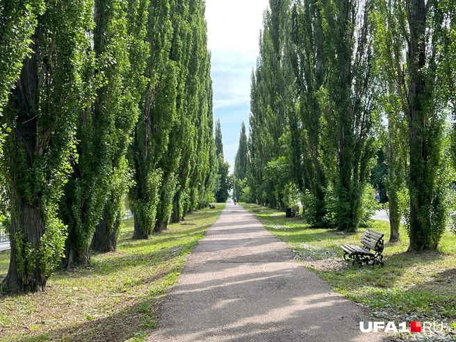 В Уфе бы это застроили давно | Источник: Андрей Бирюков / UFA1.RU