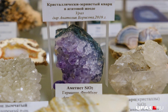 Красивый цвет и легенда | Источник: Булат Салихов / UFA1.RU