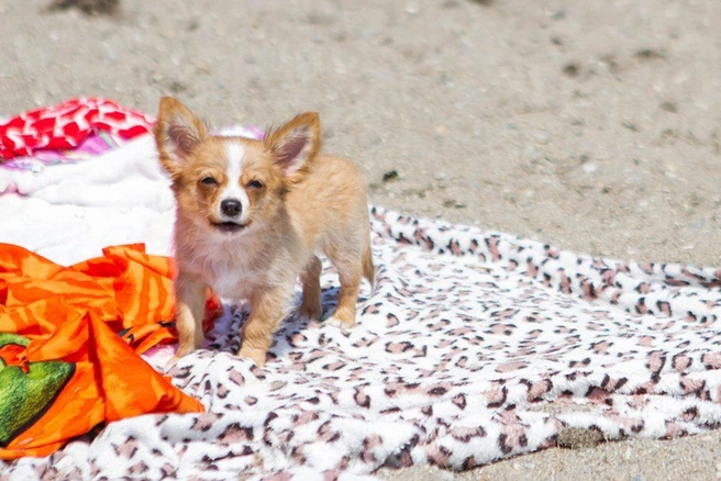 Источник: Анна Хвостова