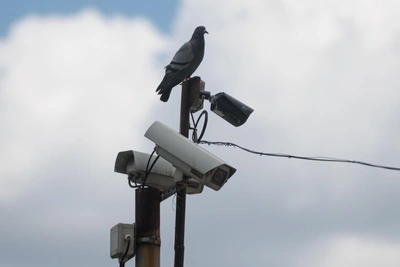 ИИ-камеры научатся прогнозировать аварии на дорогах Мурманской области