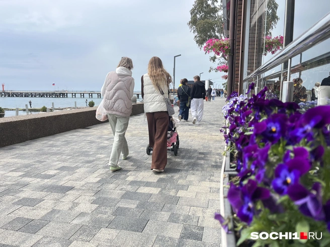 Погода в этом году в Сочи не майская | Источник: Анна Грицевич / SOCHI1.RU