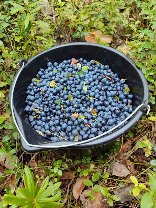 Источник: Солнечные зайчики / T.me